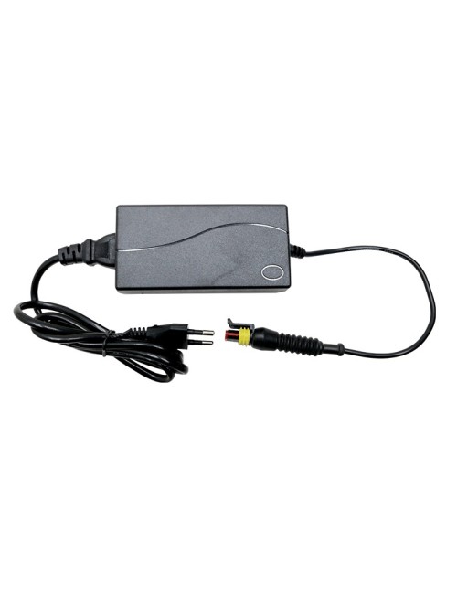 Ac / Dc Transformer Led Lamp 230 / 12V Dc - 60W